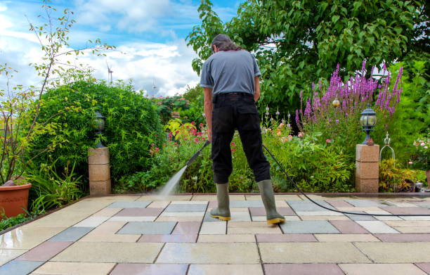 Best Pre-Holiday Cleaning  in Piedmont, CA